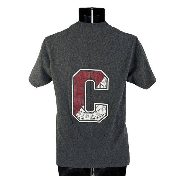 Mens Cornell University Short Sleeve Double Sided Graphic T-Shirt Sz S Gray - Picture 3 of 6